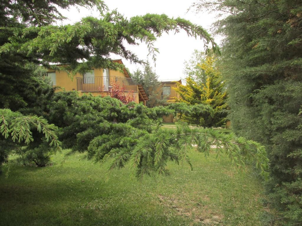 Cabanas Los Arreboles Potrerillos Exterior photo